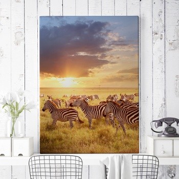 Fotoleinwand Zebras in sunset