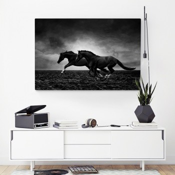 Fotoleinwand Horses in freedom