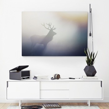 Fotoleinwand Red deer in fog