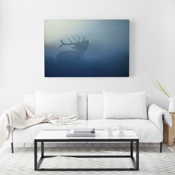 Fotoleinwand Deer calls