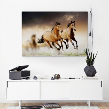 Canvastavla Horses in the wild-0