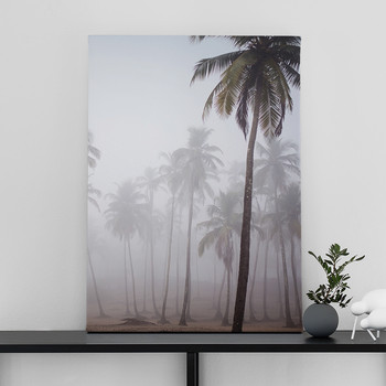Palms in morning mist
