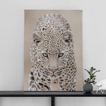 Fotoleinwand Leopard