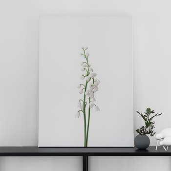 Fotoleinwand Lily of the valley