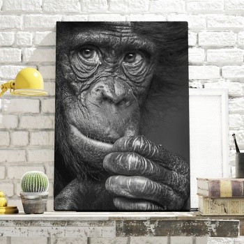 Fotoleinwand Chimpanzee portrait