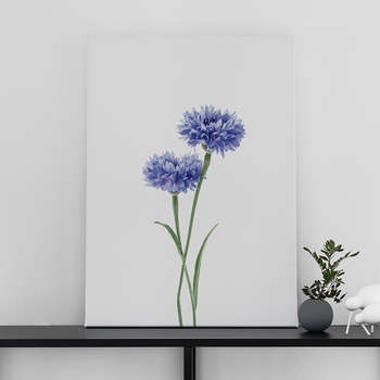 Fotoleinwand Cornflower