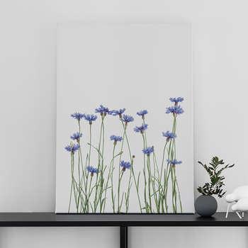 Cornflowers