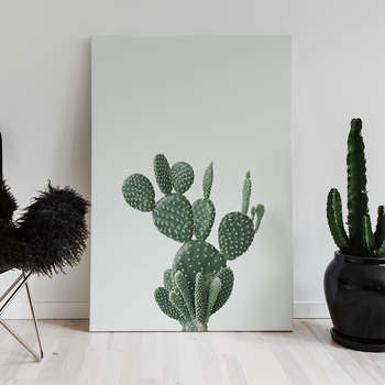 Green cactus 1