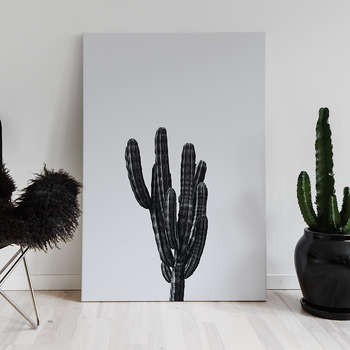 Black cactus 2