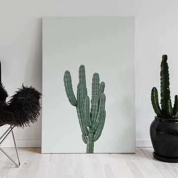 Green cactus 2