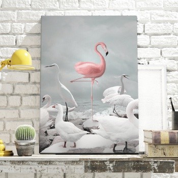 Flamingo among white birds