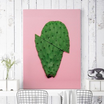 Cactus [Organic]