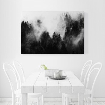 Spruce forest in fog