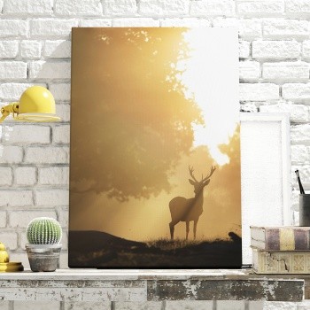Canvastavla Deer in backlight-0